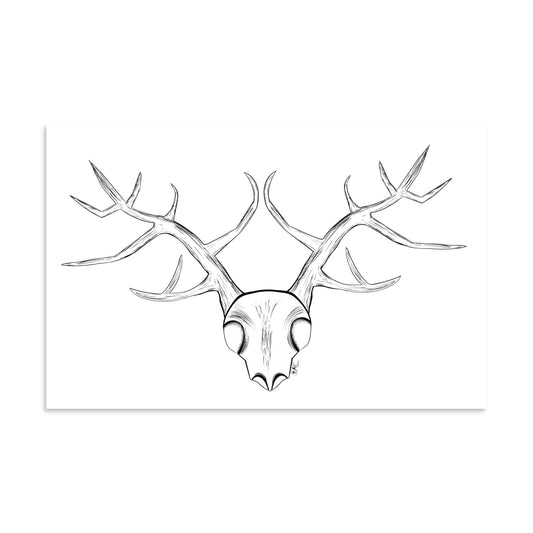 Plain Deer Skull - Poster