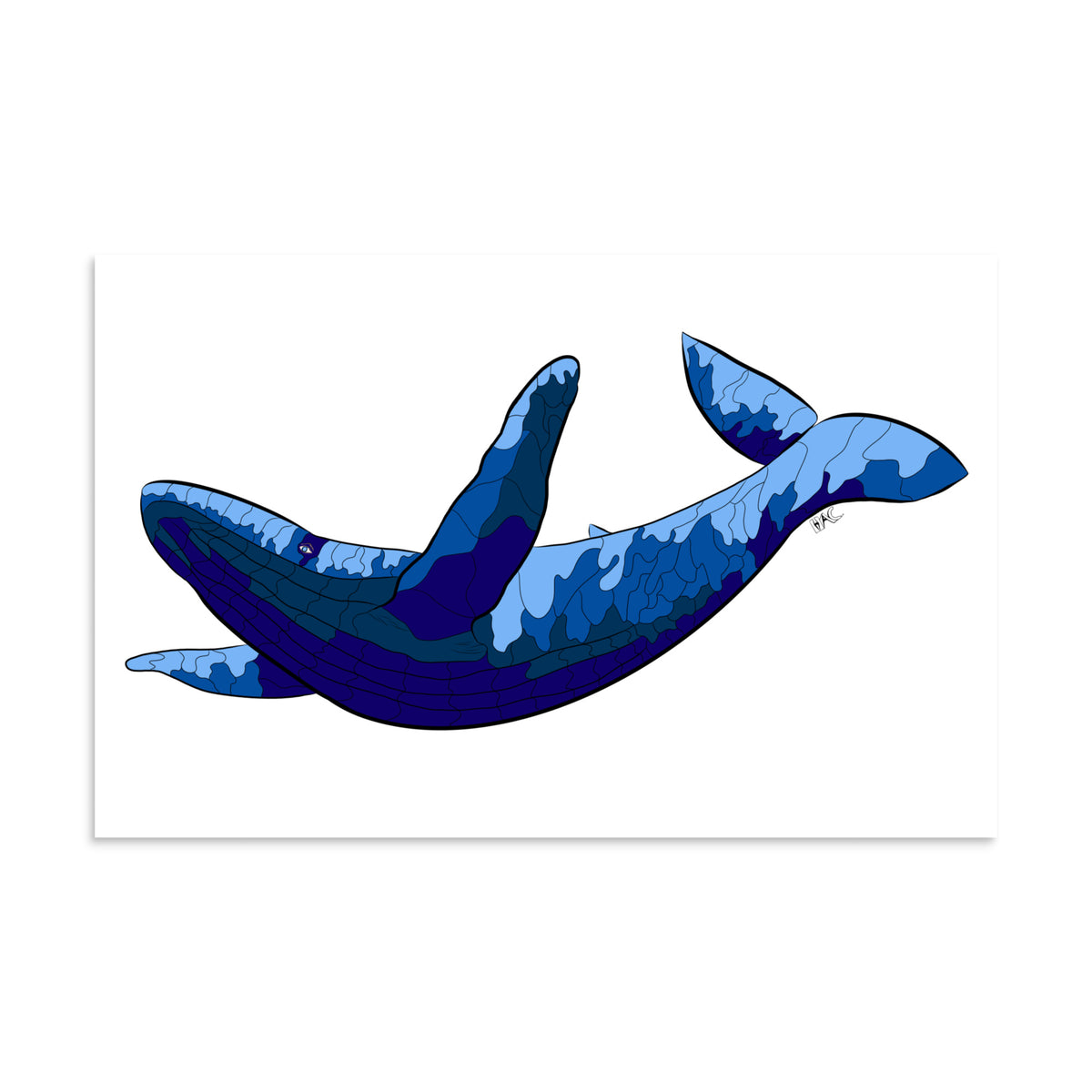 Blue Blotch Humpback Whale - Poster