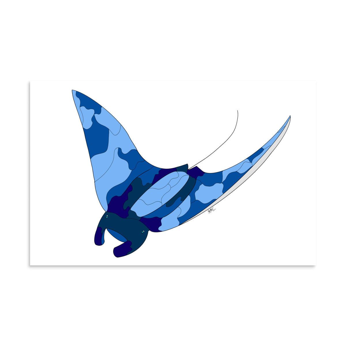 Blue Blotch Manta Ray - Poster