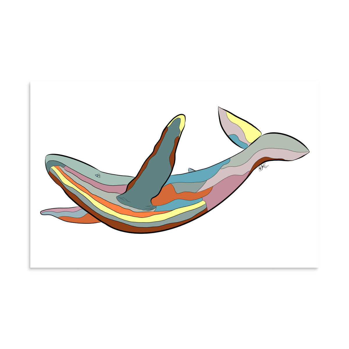 Turquoise Sunset Humpback Whale - Poster