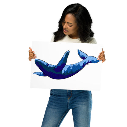Blue Blotch Humpback Whale - Poster